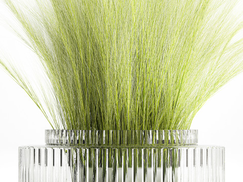 Beautiful green bouquet wildflowers feather grass glass vase 643 Modèle 3D