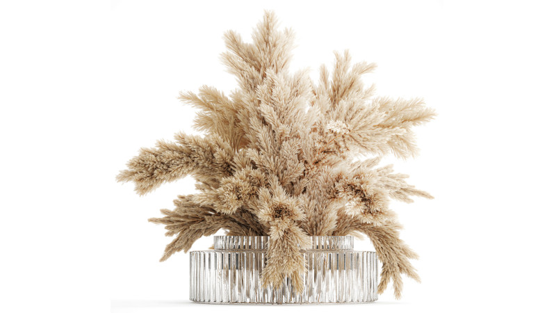 Dried flower bouquet cortaderia pampas branches glass vase 643 3D Model .c4d .max .obj .3ds .fbx .stl .blend 