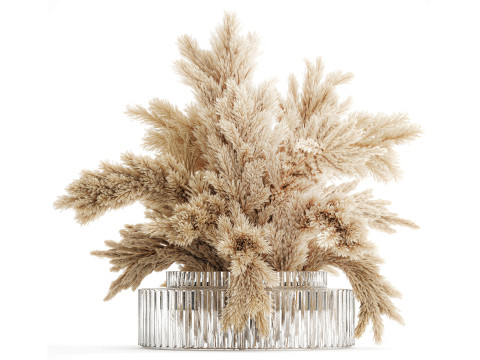 Dried flower bouquet cortaderia pampas branches glass vase 643 3D Модель
