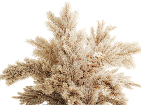 Dried flower bouquet cortaderia pampas branches glass vase 643 3D Model