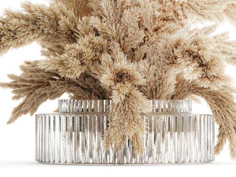 Dried flower bouquet cortaderia pampas branches glass vase 643 3D Model