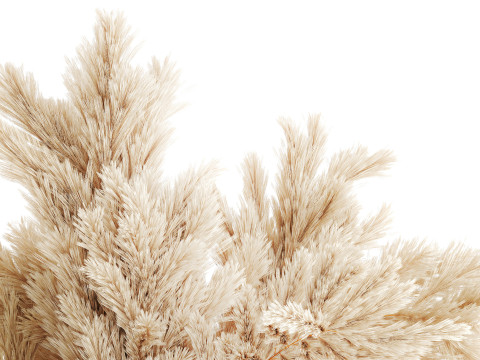 Dried flower bouquet cortaderia pampas branches glass vase 643 3D Model