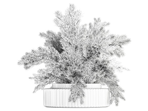 Dried flower bouquet cortaderia pampas branches glass vase 643 3D Model