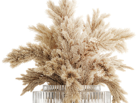 Dried flower bouquet cortaderia pampas branches glass vase 643 3D Model