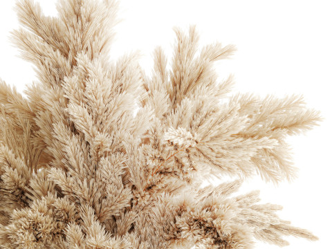 Dried flower bouquet cortaderia pampas branches glass vase 643 3D Model