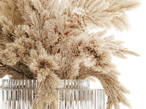 Dried flower bouquet cortaderia pampas branches glass vase 643 3D Model