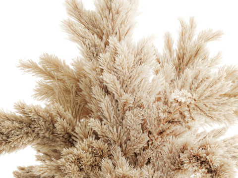 Dried flower bouquet cortaderia pampas branches glass vase 643 3D Model