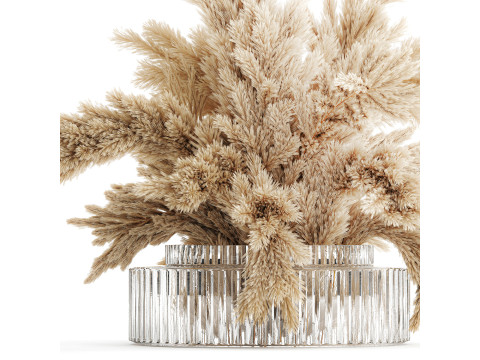 Dried flower bouquet cortaderia pampas branches glass vase 643 3D Model