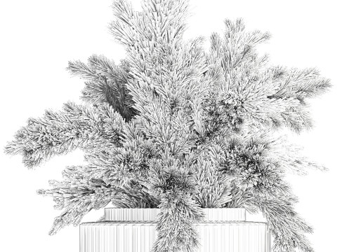 Dried flower bouquet cortaderia pampas branches glass vase 643 3D Model