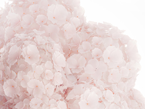 Realistic Bouquet Glass Vase Pink Hydrangea 645 3D Model