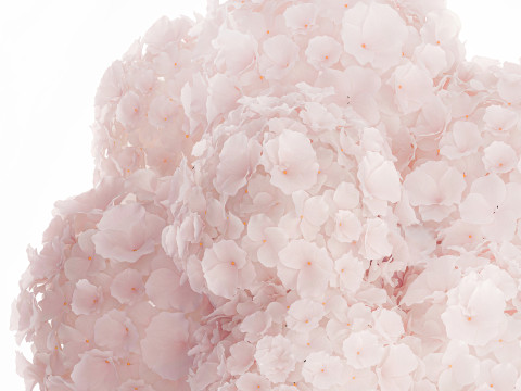 Realistic Bouquet Glass Vase Pink Hydrangea 645 3D Model