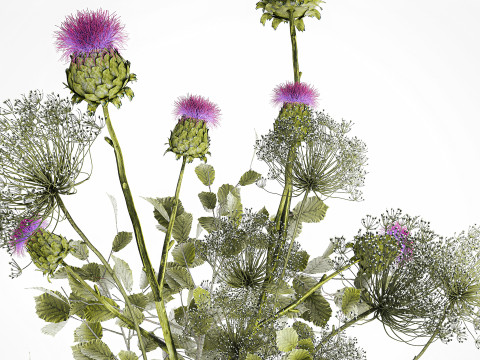Realistic Bouquet Green Flowers Hogweed Leaves glass vase Modelo 3D