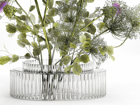 Realistic Bouquet Green Flowers Hogweed Leaves glass vase Modelo 3D