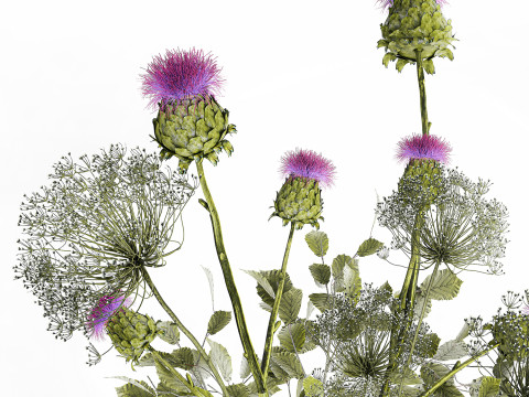 Realistic Bouquet Green Flowers Hogweed Leaves glass vase Modelo 3D