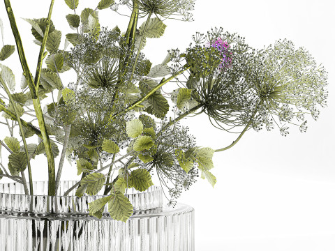 Realistic Bouquet Green Flowers Hogweed Leaves glass vase Modelo 3D