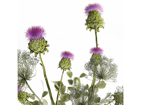 Realistic Bouquet Green Flowers Hogweed Leaves glass vase Modelo 3D