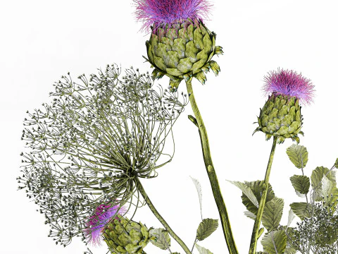 Realistic Bouquet Green Flowers Hogweed Leaves glass vase 3D Model