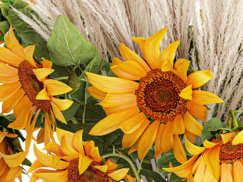 Beautiful bouquet yellow flowers sunflowers reed glass vase 3D Model