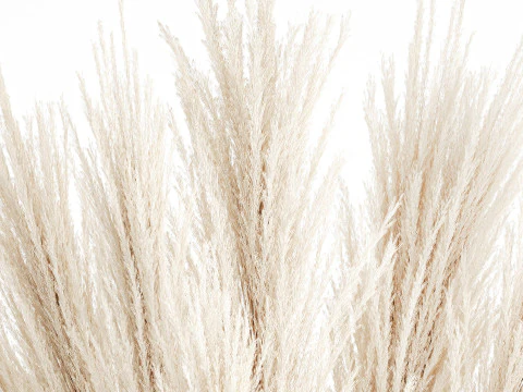 Beautiful bouquet yellow flowers sunflowers reed glass vase 3D Model