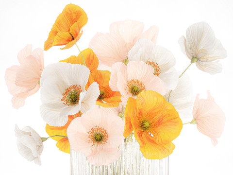 Beautiful Realistic Bouquet Wild Flowers Poppy glass vase decor 3D Model