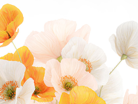 Beautiful Realistic Bouquet Wild Flowers Poppy glass vase decor 3D Model