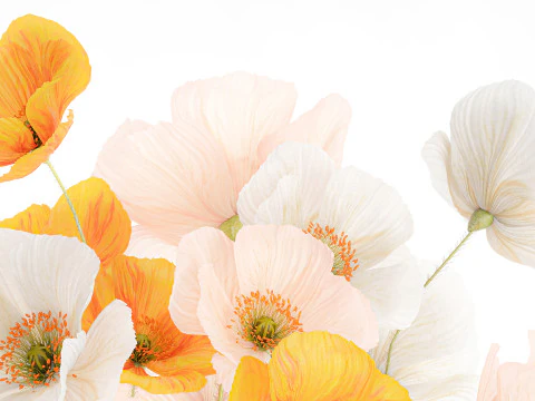 Beautiful Realistic Bouquet Wild Flowers Poppy glass vase decor 3D Model