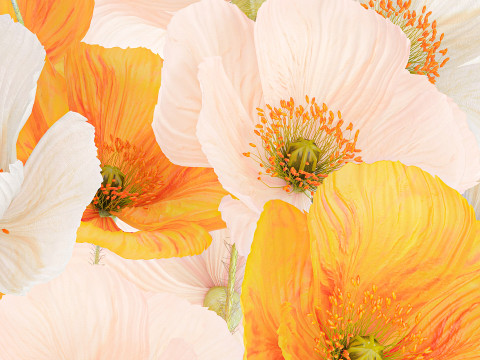Beautiful Realistic Bouquet Wild Flowers Poppy glass vase decor 3D Model