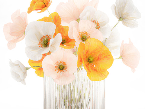 Beautiful Realistic Bouquet Wild Flowers Poppy glass vase decor 3D Model