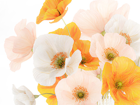 Beautiful Realistic Bouquet Wild Flowers Poppy glass vase decor 3D Model