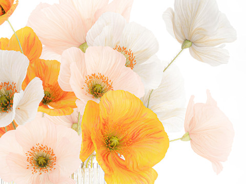 Beautiful Realistic Bouquet Wild Flowers Poppy glass vase decor 3D Model