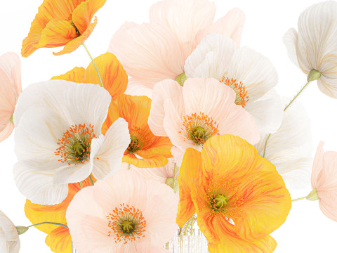 Beautiful Realistic Bouquet Wild Flowers Poppy glass vase decor 3D Model