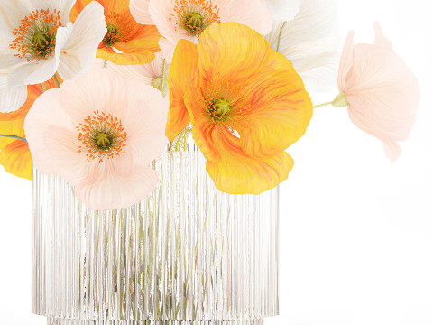Beautiful Realistic Bouquet Wild Flowers Poppy glass vase decor 3D Model