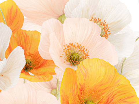 Beautiful Realistic Bouquet Wild Flowers Poppy glass vase decor 3D Model