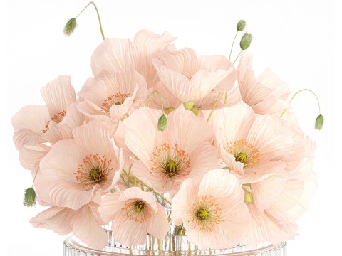 Bellissimo bouquet realistico di fiori selvatici in vaso di vetro rosa papavero 650 Modello 3D