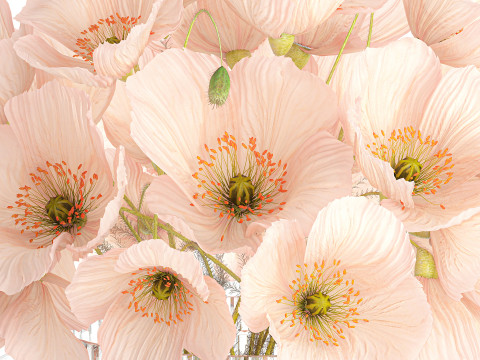 Beautiful realistic bouquet wild flower pink poppy glass vase 650 Model 3D