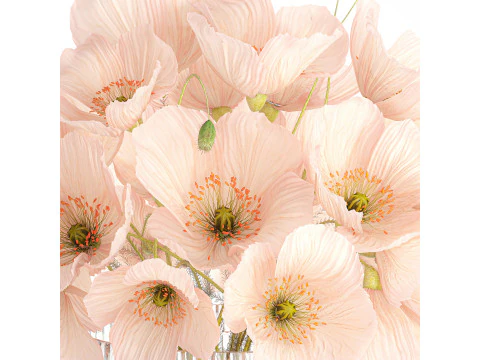 Bellissimo bouquet realistico di fiori selvatici in vaso di vetro rosa papavero 650 Modello 3D