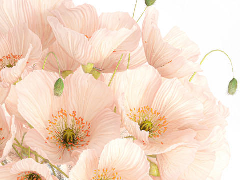 Beautiful realistic bouquet wild flower pink poppy glass vase 650 Model 3D