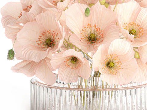 Bellissimo bouquet realistico di fiori selvatici in vaso di vetro rosa papavero 650 Modello 3D