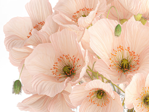 Beautiful realistic bouquet wild flower pink poppy glass vase 650 Model 3D
