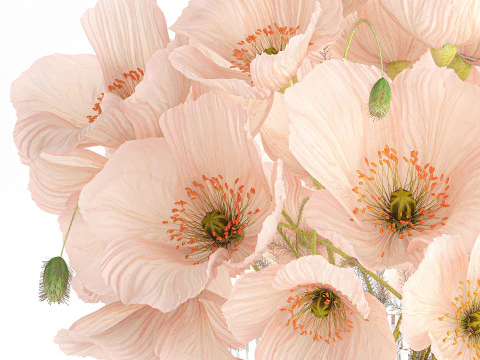 Bellissimo bouquet realistico di fiori selvatici in vaso di vetro rosa papavero 650 Modello 3D