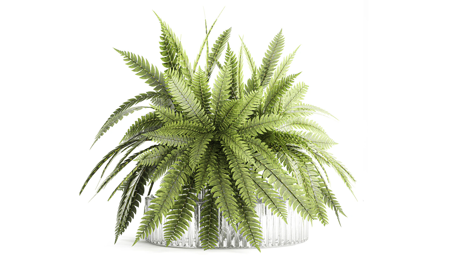 Bouquet floreale verde con rami di felce, arredamento moderno in vaso di vetro Modello 3D .c4d .max .obj .3ds .fbx .stl .blend 
