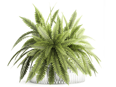 Green floral bouquet fern branches modern glass vase decor Modelo 3D