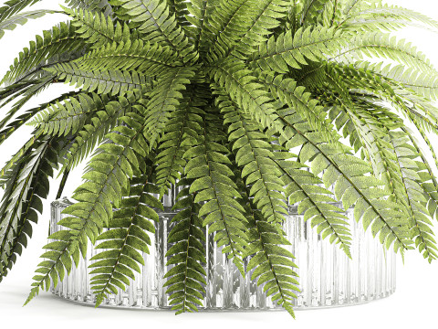 Green floral bouquet fern branches modern glass vase decor Model 3D