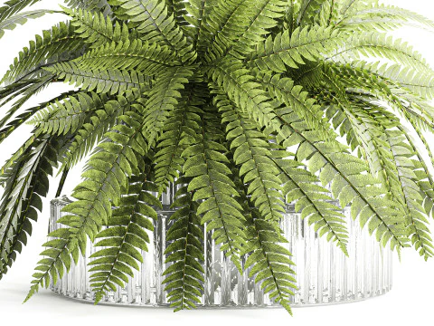 Bouquet floreale verde con rami di felce, arredamento moderno in vaso di vetro Modello 3D