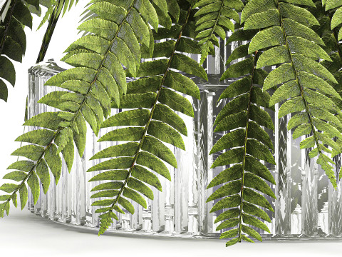 Green floral bouquet fern branches modern glass vase decor Model 3D