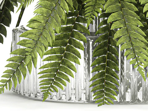 Bouquet floreale verde con rami di felce, arredamento moderno in vaso di vetro Modello 3D
