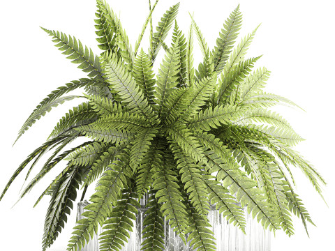 Green floral bouquet fern branches modern glass vase decor Model 3D