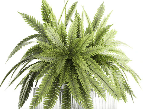 Bouquet floreale verde con rami di felce, arredamento moderno in vaso di vetro Modello 3D