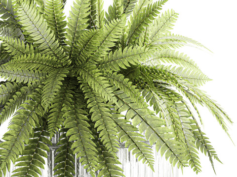 Green floral bouquet fern branches modern glass vase decor Model 3D