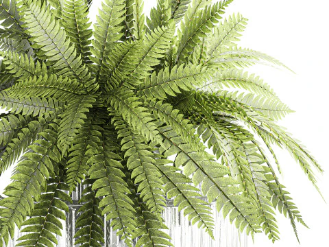 Bouquet floreale verde con rami di felce, arredamento moderno in vaso di vetro Modello 3D